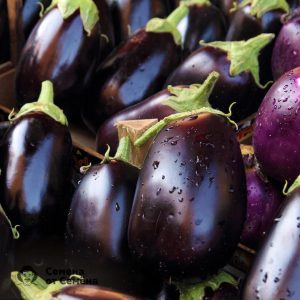 Why summer residents like the Black Handsome eggplant variety and how to grow it