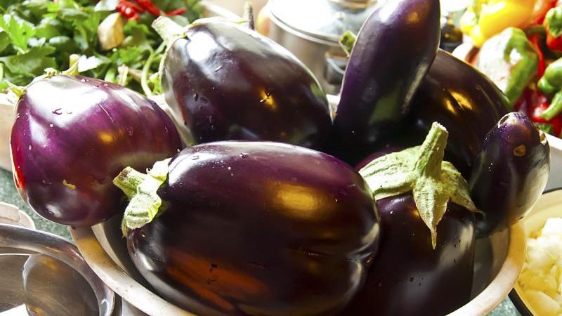 Why summer residents like the Black Handsome eggplant variety and how to grow it