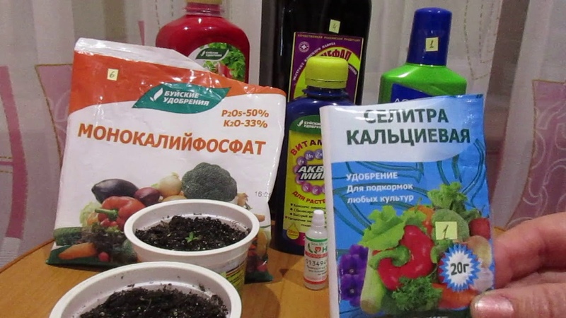 What are nitrogen fertilizers for cucumbers in a greenhouse for? What are they and how to apply them correctly?