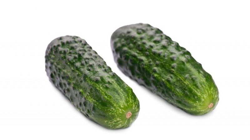 An early ripening hybrid of Maryina Roscha f1 cucumber, loved by summer residents for its high yield