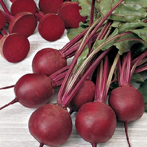 Dutch beetroot hybrid Action f1: crop features and secrets of proper care