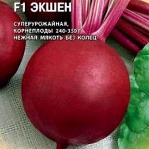 Dutch beetroot hybrid Action f1: crop features and secrets of proper care