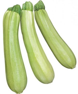 Cavili zucchini variety from Dutch breeders: what you might like and how to grow it correctly