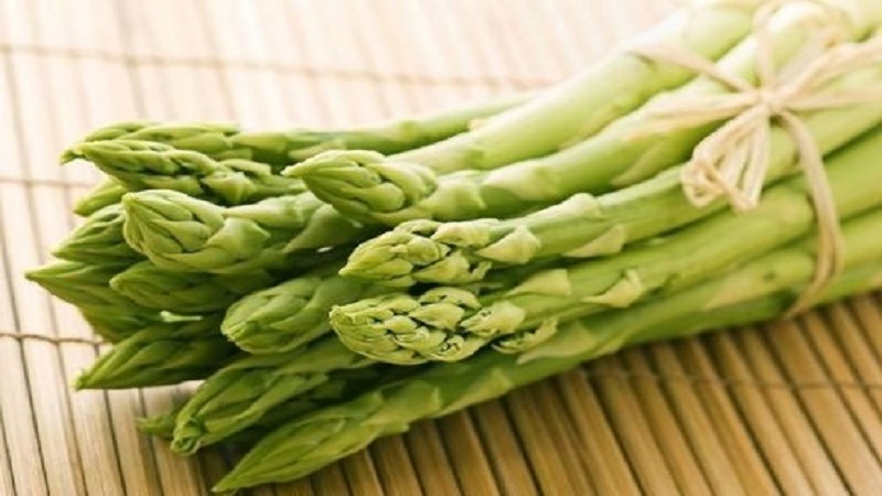 How to quickly and deliciously cook canned asparagus: the best recipes