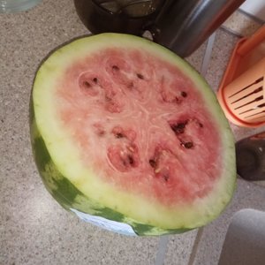 How can you test a watermelon for nitrates at home?