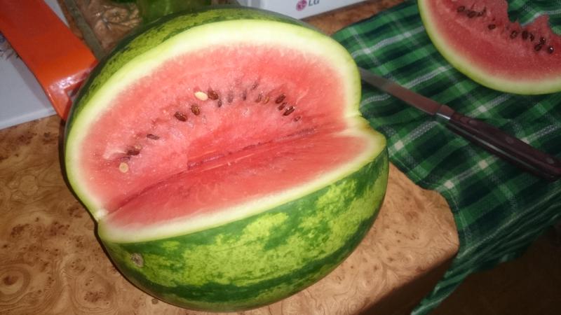 How can you test a watermelon for nitrates at home?