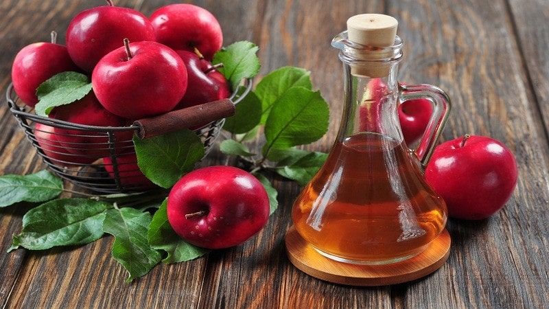 How to make crispy and delicious apple cider vinegar pickles