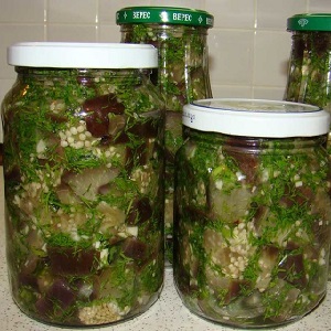 How to cook pickled eggplant for the winter: the most delicious recipes