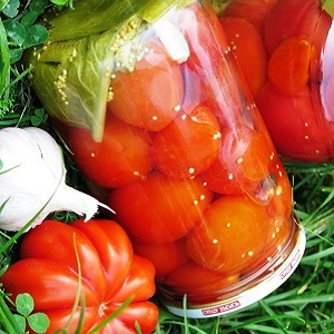How to cook delicious pickled tomatoes for the winter: a selection of the best recipes from experienced housewives