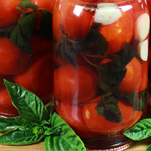 How to cook delicious pickled tomatoes for the winter: a selection of the best recipes from experienced housewives
