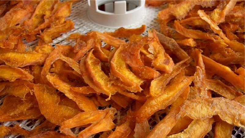 Healthy snacks at home: how to dry pumpkin in an electric dryer correctly and with what you can eat it
