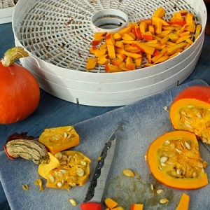 Healthy snacks at home: how to dry pumpkin in an electric dryer correctly and with what you can eat it