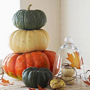 Healthy snacks at home: how to dry pumpkin in an electric dryer correctly and with what you can eat it