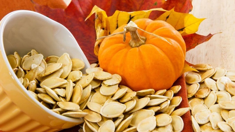 Healthy snacks at home: how to dry pumpkin in an electric dryer correctly and with what you can eat it