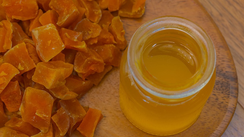 Healthy snacks at home: how to dry pumpkin in an electric dryer correctly and with what you can eat it