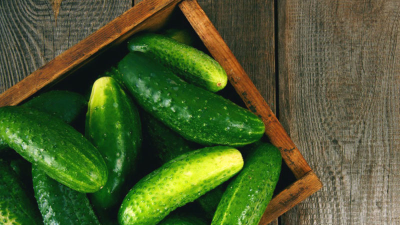 How to remove bitterness from cucumbers and why it appears at all