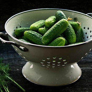 How to grow Harmonist cucumbers and why they are good