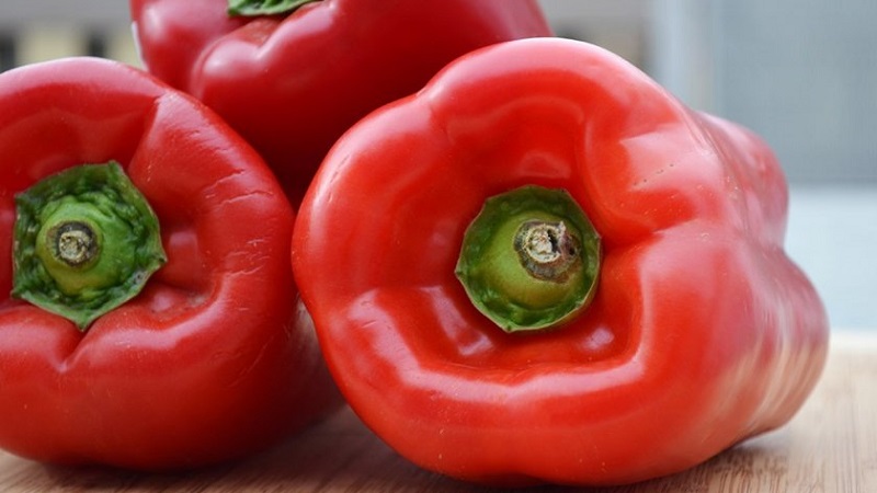 How to grow Denis hybrid pepper for a rich harvest of sweet and juicy fruits