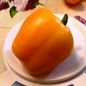 How to grow Bogdan pepper on your site: an overview and secrets of getting a rich harvest