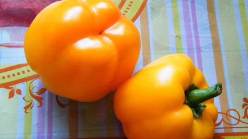 How to grow Bogdan pepper on your site: an overview and secrets of getting a rich harvest