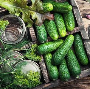 How to prepare crispy pickles for the winter in jars is simple and tasty