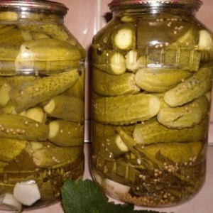 How to prepare delicious pickles with mustard for the winter