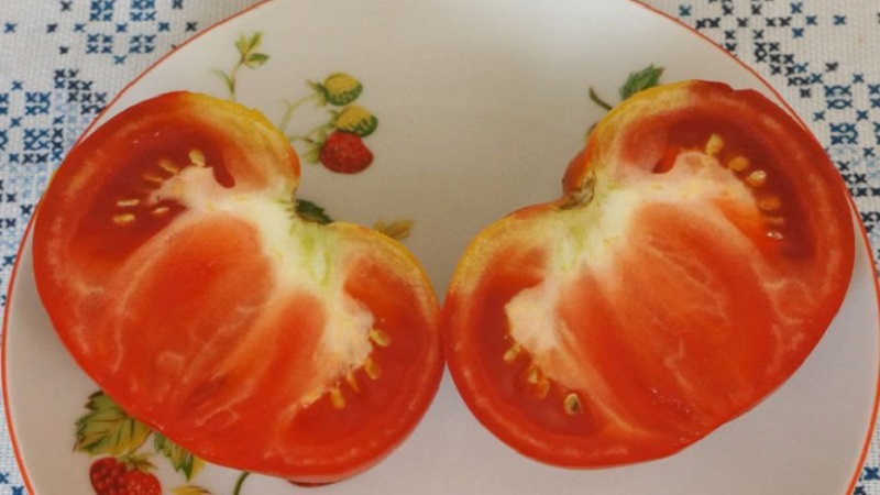 Large-fruited variety from Bulgarian breeders - Mamina Lyubov's tomato