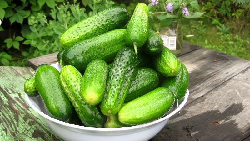 The best recipes for salting sweet cucumbers for the winter in jars from experienced housewives