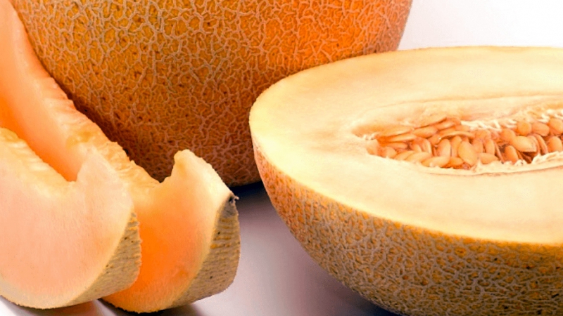 Is it possible to melon with gastritis in various forms: rules and norms of use