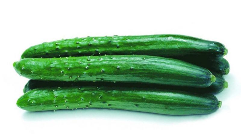 Delicious and fragrant Alligator cucumber for fresh consumption