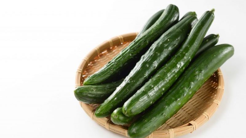Delicious and fragrant Alligator cucumber for fresh consumption