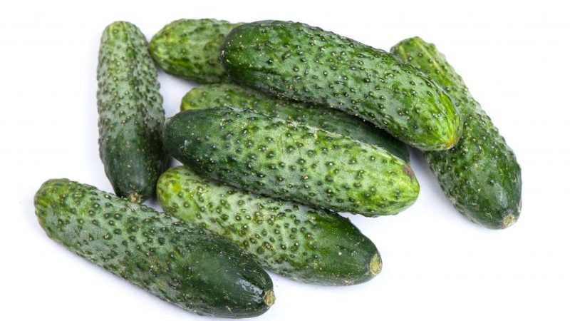 Overview of Furor cucumbers: advantages and disadvantages, crop characteristics and tips for growing