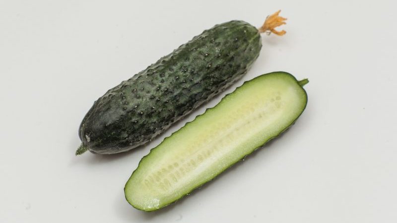 Overview of Furor cucumbers: advantages and disadvantages, crop characteristics and tips for growing