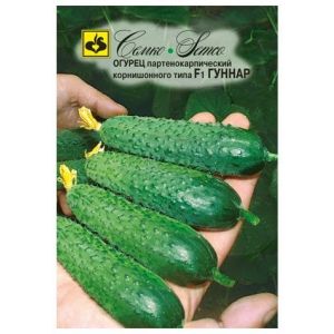 Hybrid early ripening hybrid of Gunnar cucumbers: characteristics and cultivation techniques