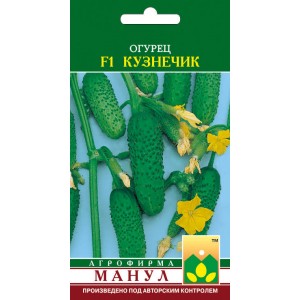 Early hybrid of cucumbers Grasshopper from domestic breeders