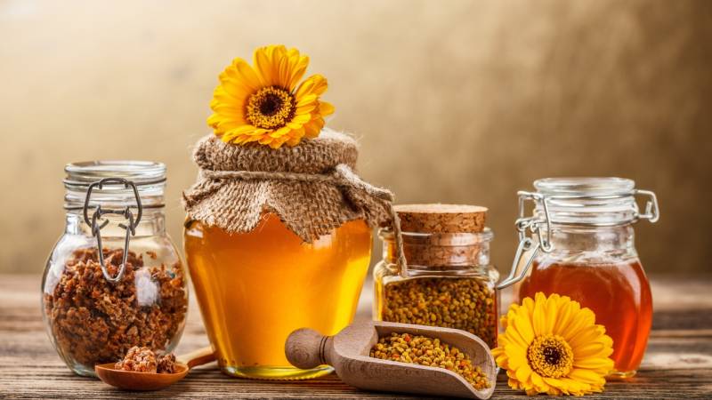 The benefits and harms of cucumbers with honey for the human body