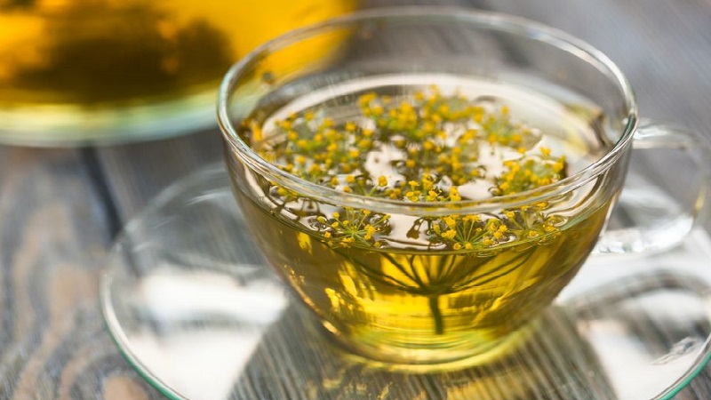 What does the dill decoction help from, how to cook and use it correctly