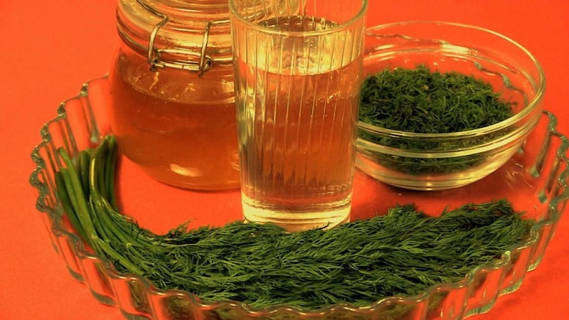 What does the dill decoction help from, how to cook and use it correctly