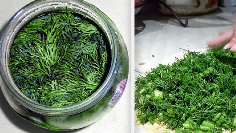 What does the dill decoction help from, how to cook and use it correctly