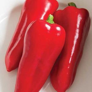 Why is it worth growing Atlant hybrid pepper and how it may surprise you
