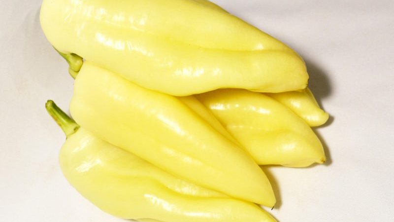 Why the Belozerka pepper variety is good and why it is worth trying to grow it on your site