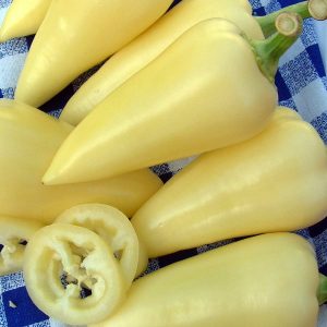 Why the Belozerka pepper variety is good and why it is worth trying to grow it on your site