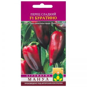 Hybrid Pinocchio pepper for lovers of sweet and juicy high-yielding varieties