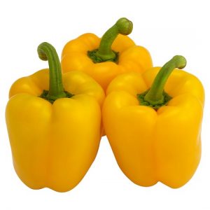 An early ripe and high-yielding hybrid of Kalif (Khalif) pepper from Japanese breeders