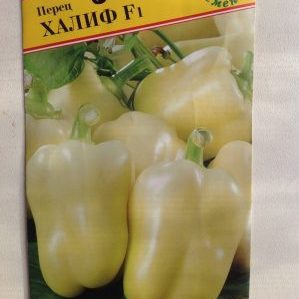 An early ripe and high-yielding hybrid of Kalif (Khalif) pepper from Japanese breeders