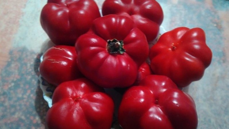 Review of the Novogogoshary pepper variety: reviews of farmers, advantages and disadvantages, nuances of cultivation