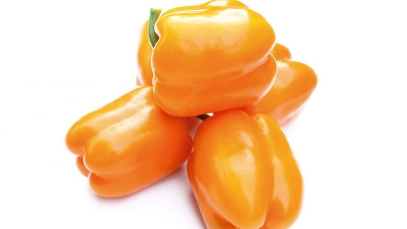 A hybrid that will not leave you indifferent - Orange miracle pepper and the features of its cultivation