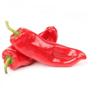 A variety that can become your pet - the cow's ear pepper and the secrets of its cultivation