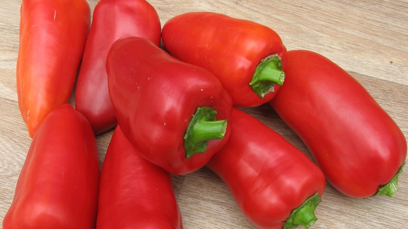 A selection of the best varieties of sweet peppers for outdoor use