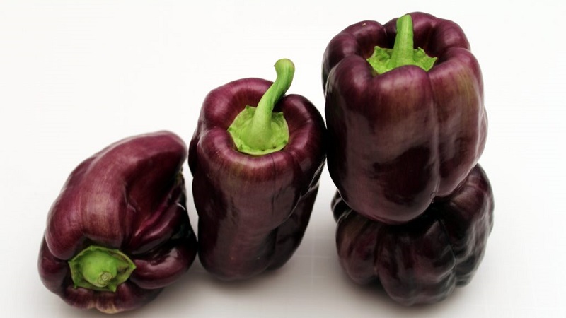 A selection of the best varieties of sweet peppers for outdoor use